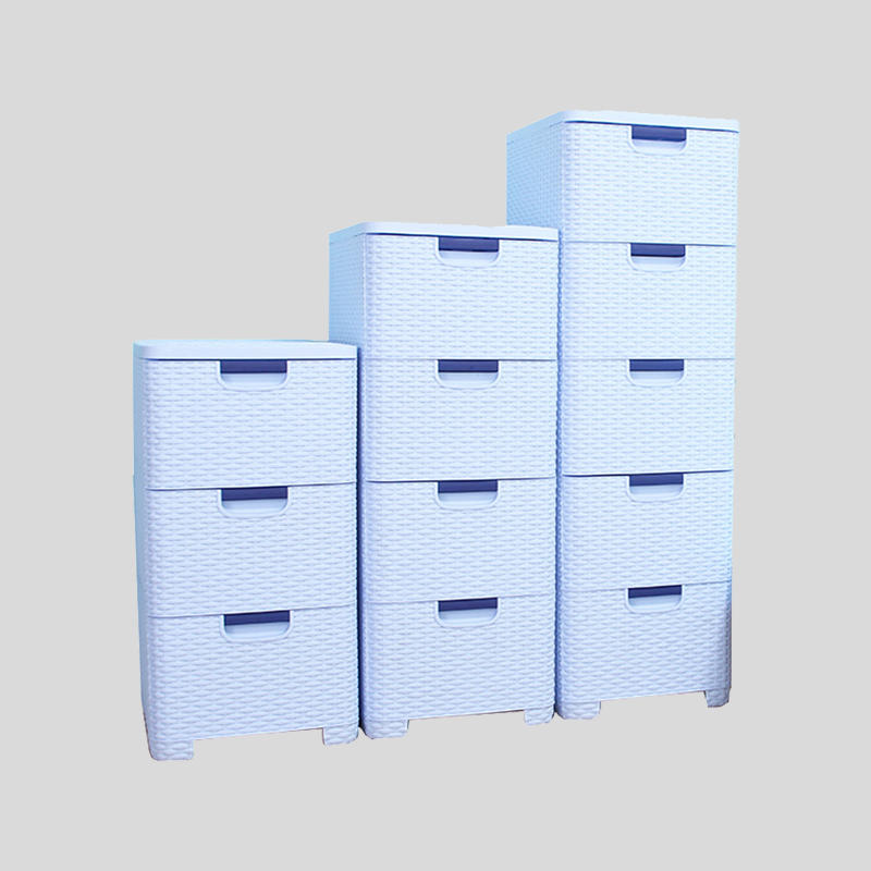 Plastic Drawer Storage Cabinet Storage Box Clothing Storage Box Mould-Production Sample