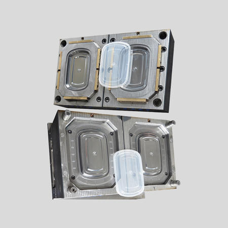 When considering a supplier for your thin wall lunch box mould