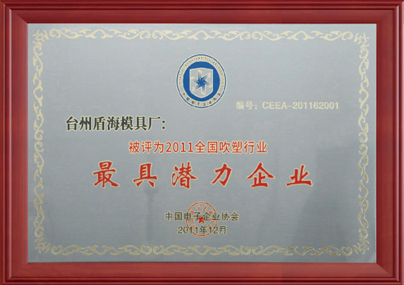 Certificate of Most Potential Enterprise